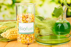 Fron Bache biofuel availability